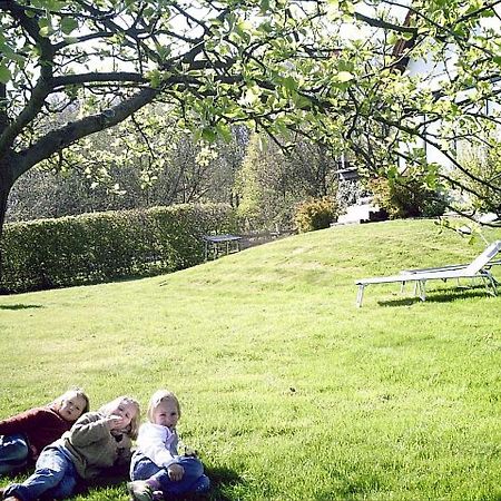 Ferienwohnung Im Haus Am Wald Brilon Exterior foto
